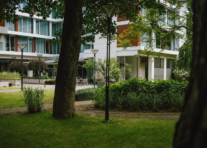 Puro Stare 브로츠와프