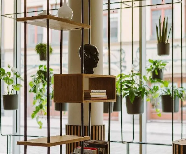 プロ スタレ ミャスト 3*