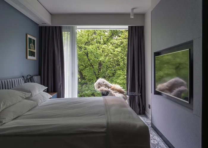 プロ スタレ ミャスト 3*